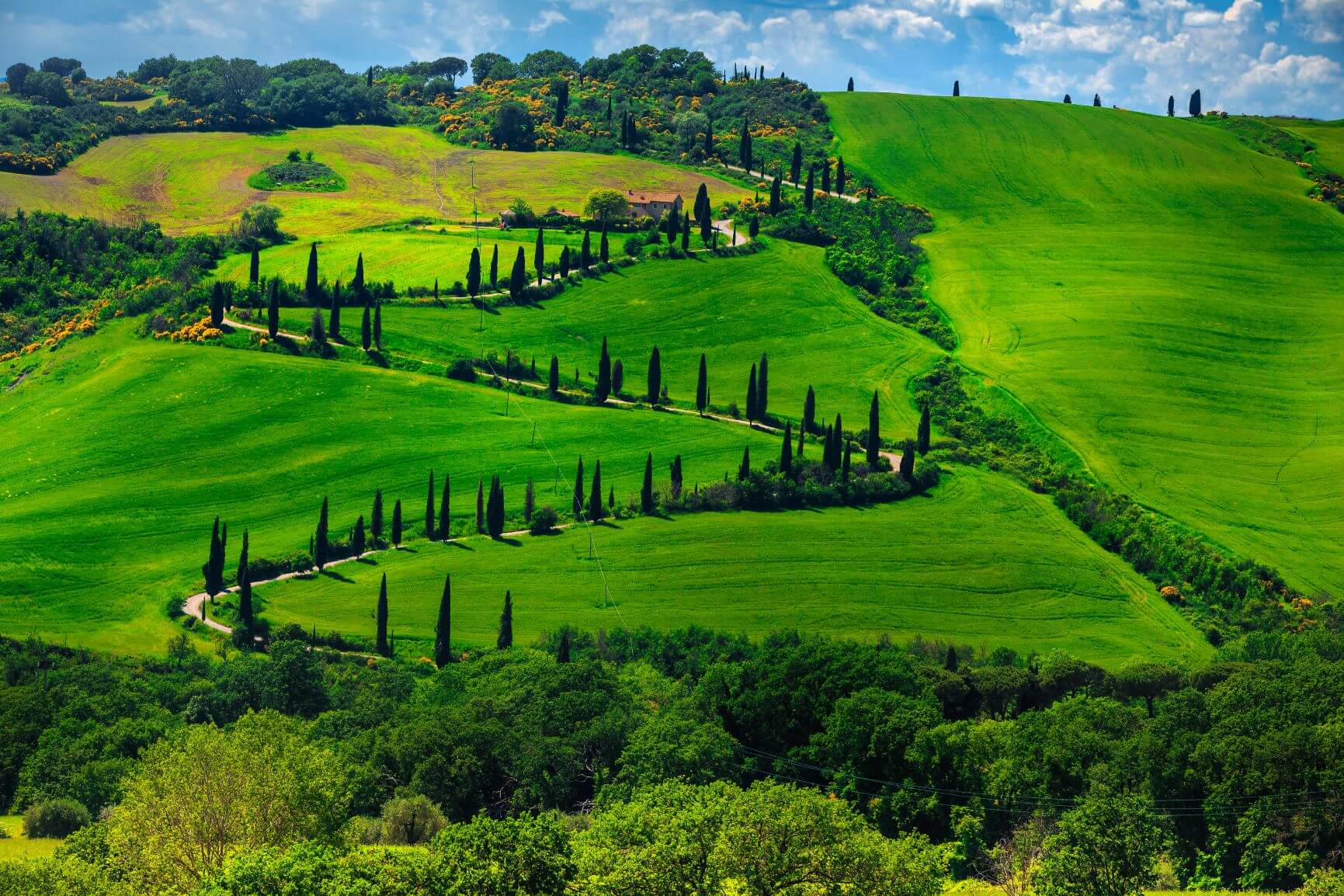 alfa romeo tour